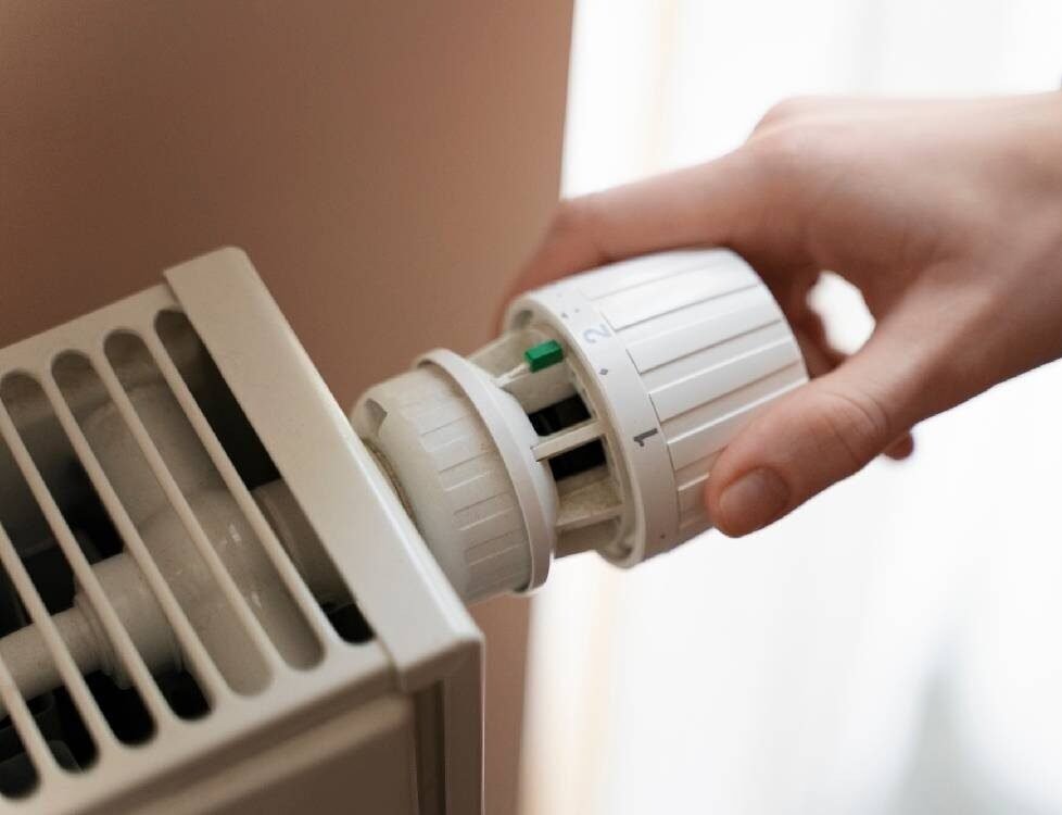 Petek Temizleme ve Bakım